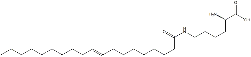 N6-(9-Nonadecenoyl)lysine Struktur