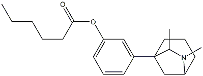 3-(6,7-Dimethyl-6-azabicyclo[3.2.1]octan-1-yl)phenol hexanoate Struktur