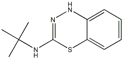 3-tert-Butylamino-1H-4,1,2-benzothiadiazine Struktur