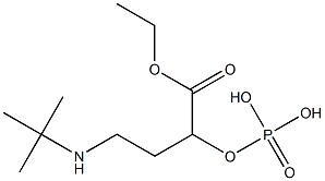 Phosphoric acid [2-(tert-butylamino)ethyl]ethoxycarbonylmethyl ester Struktur