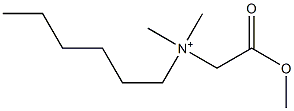 N-(Methoxycarbonylmethyl)-N,N-dimethyl-1-hexanaminium Struktur