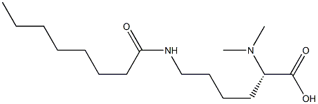 N6-Octanoyl-N2,N2-dimethyllysine Struktur