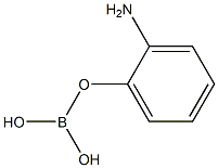 aminophenylboric acid Struktur