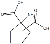 2-aminobycyclo(2.1.1)hexane-2,5-dicarboxylic acid Struktur