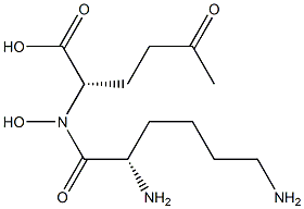 hydroxylysyl-5-oxonorleucine Struktur