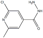 2-chloro-6-methylpyridine-4-carbohydrazide Struktur