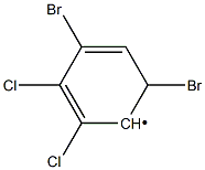 4,6-Dibromo-2,3-dichlorophenyl Struktur