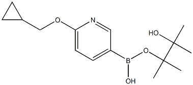 6-(CYCLOPROPYLMETHOXY)PYRIDINE-3-BORONIC ACID PINACOL ESTER Struktur