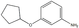 3-(CYCLOPENTYLOXY)ANILINE Struktur