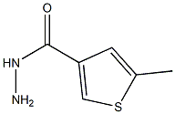 5-METHYLTHIOPHENE-3-CARBOHYDRAZIDE Struktur