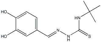 N1-(tert-butyl)-2-(3,4-dihydroxybenzylidene)hydrazine-1-carbothioamide Struktur