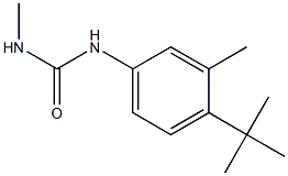 N-[4-(tert-butyl)-3-methylphenyl]-N'-methylurea Struktur