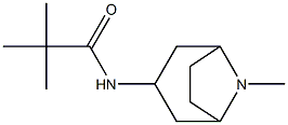 N1-(8-methyl-8-azabicyclo[3.2.1]oct-3-yl)-2,2-dimethylpropanamide Struktur