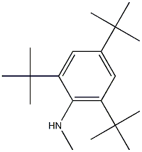 N1-methyl-2,4,6-tri(tert-butyl)aniline Struktur