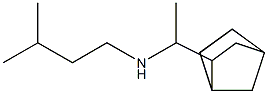 (1-{bicyclo[2.2.1]heptan-2-yl}ethyl)(3-methylbutyl)amine Struktur