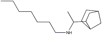 (1-{bicyclo[2.2.1]heptan-2-yl}ethyl)(heptyl)amine Struktur