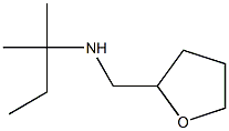 (2-methylbutan-2-yl)(oxolan-2-ylmethyl)amine Struktur