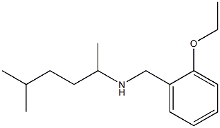 [(2-ethoxyphenyl)methyl](5-methylhexan-2-yl)amine Struktur