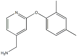 [2-(2,4-dimethylphenoxy)pyridin-4-yl]methylamine Struktur