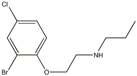 [2-(2-bromo-4-chlorophenoxy)ethyl](propyl)amine Struktur