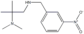 [2-(dimethylamino)-2-methylpropyl][(3-nitrophenyl)methyl]amine Struktur