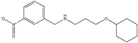 [3-(cyclohexyloxy)propyl][(3-nitrophenyl)methyl]amine Struktur