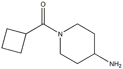 1-(cyclobutylcarbonyl)piperidin-4-amine Struktur