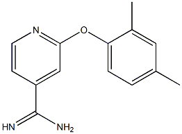 2-(2,4-dimethylphenoxy)pyridine-4-carboximidamide Struktur