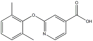 2-(2,6-dimethylphenoxy)pyridine-4-carboxylic acid Struktur