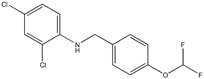 2,4-dichloro-N-{[4-(difluoromethoxy)phenyl]methyl}aniline Struktur