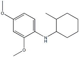 2,4-dimethoxy-N-(2-methylcyclohexyl)aniline Struktur