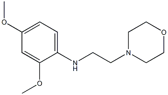 2,4-dimethoxy-N-[2-(morpholin-4-yl)ethyl]aniline Struktur