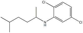 2,5-dichloro-N-(5-methylhexan-2-yl)aniline Struktur