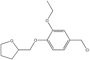 2-[4-(chloromethyl)-2-ethoxyphenoxymethyl]oxolane Struktur