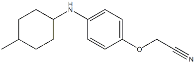 2-{4-[(4-methylcyclohexyl)amino]phenoxy}acetonitrile Struktur