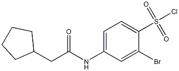 2-bromo-4-(2-cyclopentylacetamido)benzene-1-sulfonyl chloride Struktur