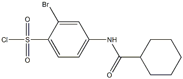 2-bromo-4-cyclohexaneamidobenzene-1-sulfonyl chloride Struktur