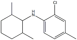 2-chloro-N-(2,6-dimethylcyclohexyl)-4-methylaniline Struktur