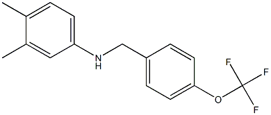 3,4-dimethyl-N-{[4-(trifluoromethoxy)phenyl]methyl}aniline Struktur