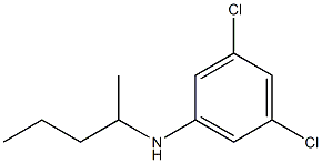 3,5-dichloro-N-(pentan-2-yl)aniline Struktur