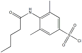 3,5-dimethyl-4-pentanamidobenzene-1-sulfonyl chloride Struktur