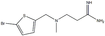 3-{[(5-bromothiophen-2-yl)methyl](methyl)amino}propanimidamide Struktur