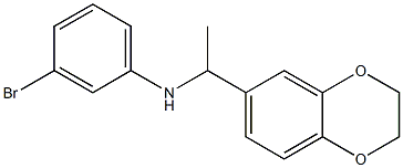 3-bromo-N-[1-(2,3-dihydro-1,4-benzodioxin-6-yl)ethyl]aniline Struktur