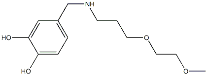 4-({[3-(2-methoxyethoxy)propyl]amino}methyl)benzene-1,2-diol Struktur