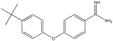 4-(4-tert-butylphenoxy)benzene-1-carboximidamide Struktur