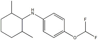 4-(difluoromethoxy)-N-(2,6-dimethylcyclohexyl)aniline Struktur