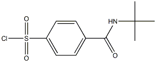 4-(tert-butylcarbamoyl)benzene-1-sulfonyl chloride Struktur