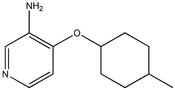 4-[(4-methylcyclohexyl)oxy]pyridin-3-amine Struktur