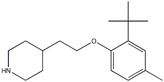 4-[2-(2-tert-butyl-4-methylphenoxy)ethyl]piperidine Struktur