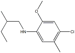 4-chloro-2-methoxy-5-methyl-N-(2-methylbutyl)aniline Struktur